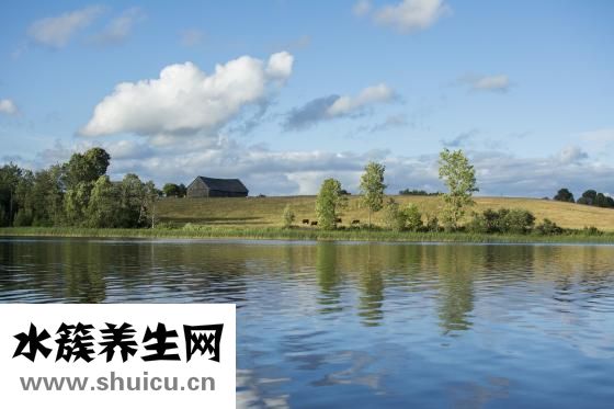 胸骨在哪個位置