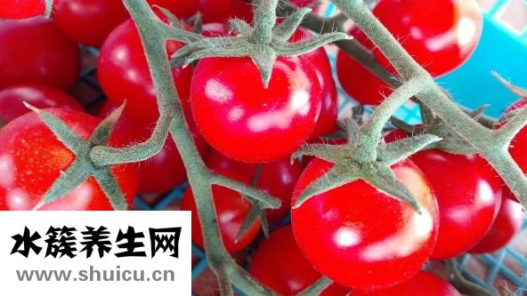 蔬菜汁的做法大全