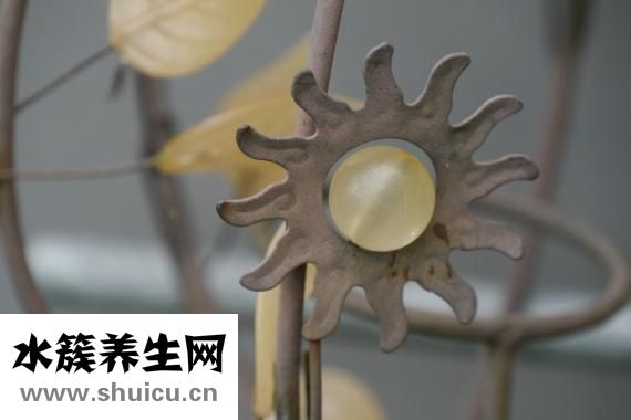 眼睛模糊怎么治