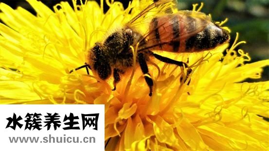 眼袋黑眼圈怎么消除