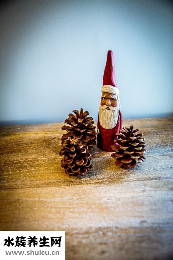 髖關節(jié)位置圖