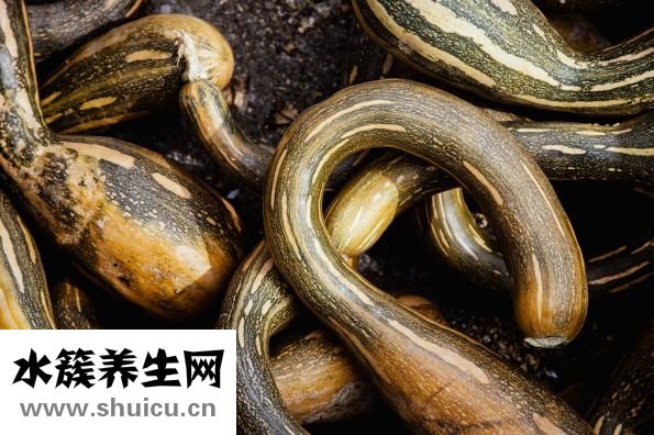 碳水食物有哪些