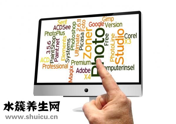 哈尼是什么意思