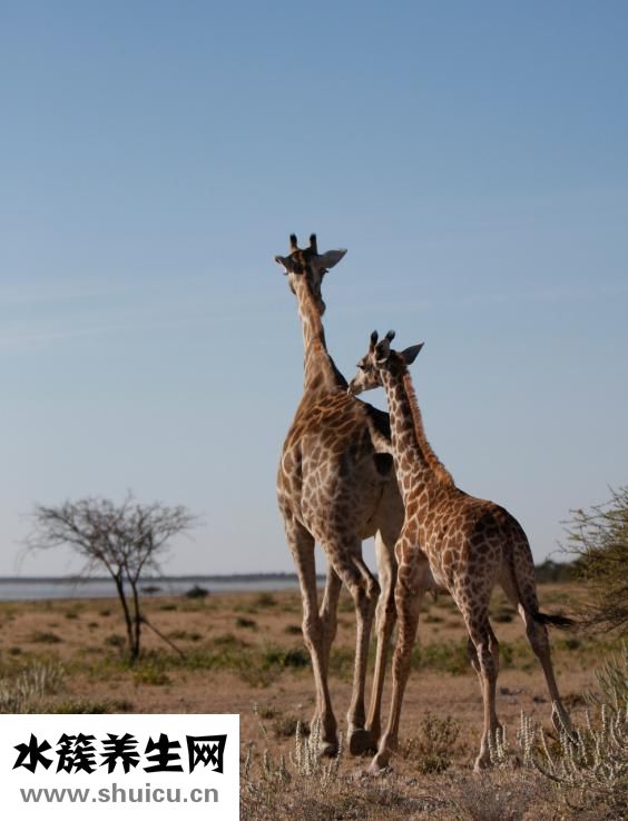 嬰兒濕疹怎么辦