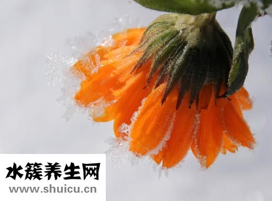 孕婦上火怎么辦