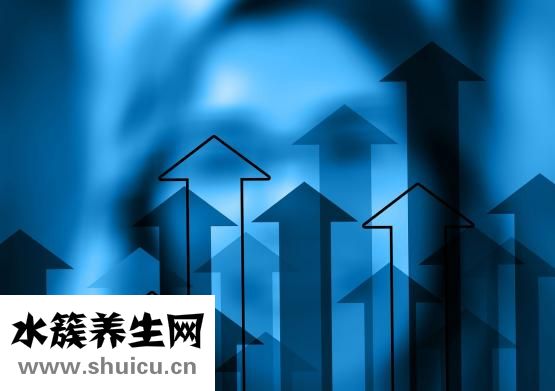 如何科學(xué)減肥