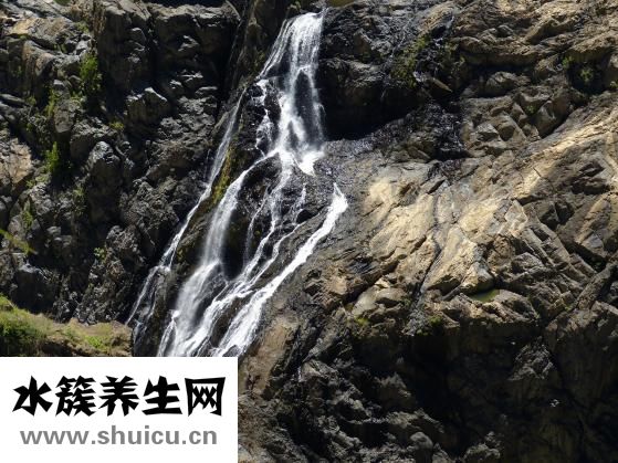 大便出血怎么回事