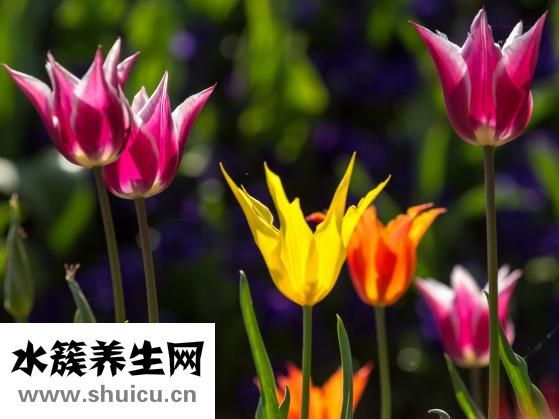 小便很黃是怎么回事