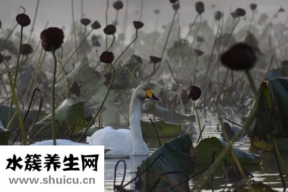 出汗多是什么原因