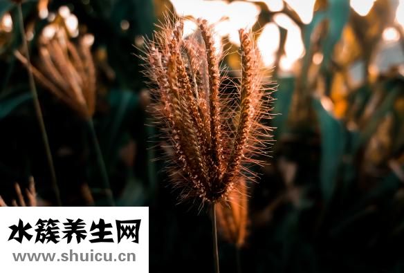 人有多少塊骨頭