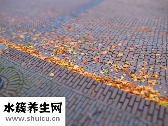 怎么炸薯?xiàng)l