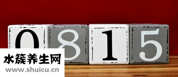 妊娠是什么意思