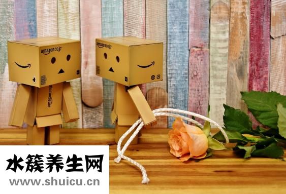 三維彩超什么時候做