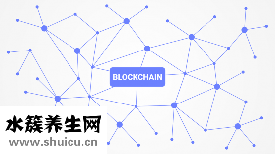 發(fā)財樹怎么養(yǎng)