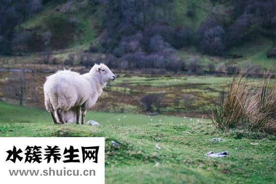 怎么算預(yù)產(chǎn)期