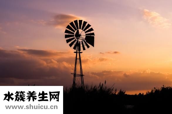 發(fā)燒吃什么