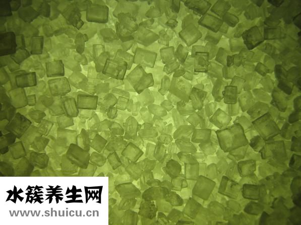 國(guó)籍怎么填