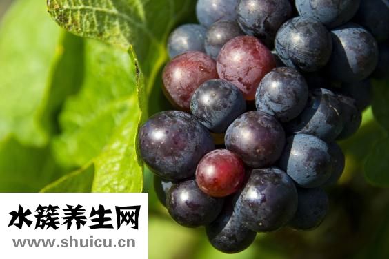 吃葡萄有什么好處