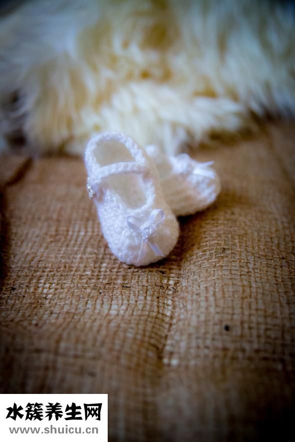 小狗拉稀怎么辦