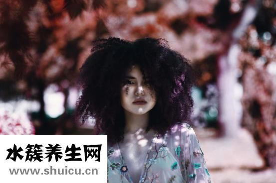 吃什么生發(fā)