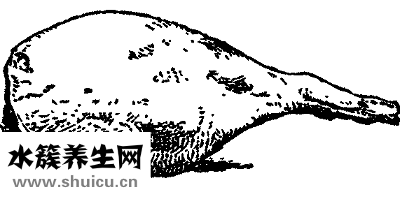 孕婦喝什么湯好