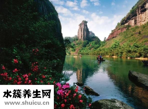 大紅袍屬于什么茶