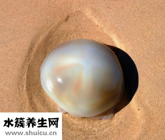 后背疼怎么回事