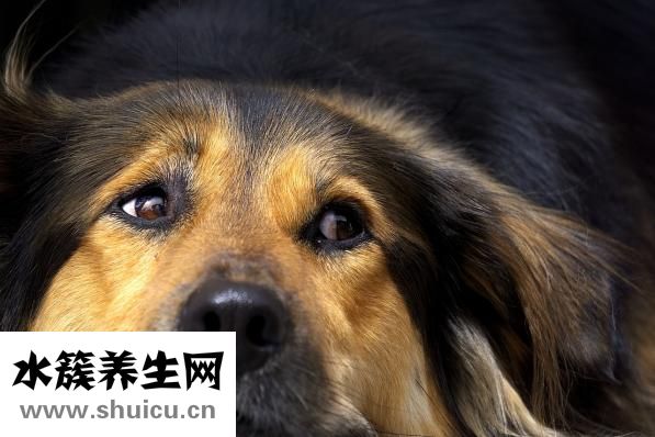 嬰兒感冒鼻塞怎么辦