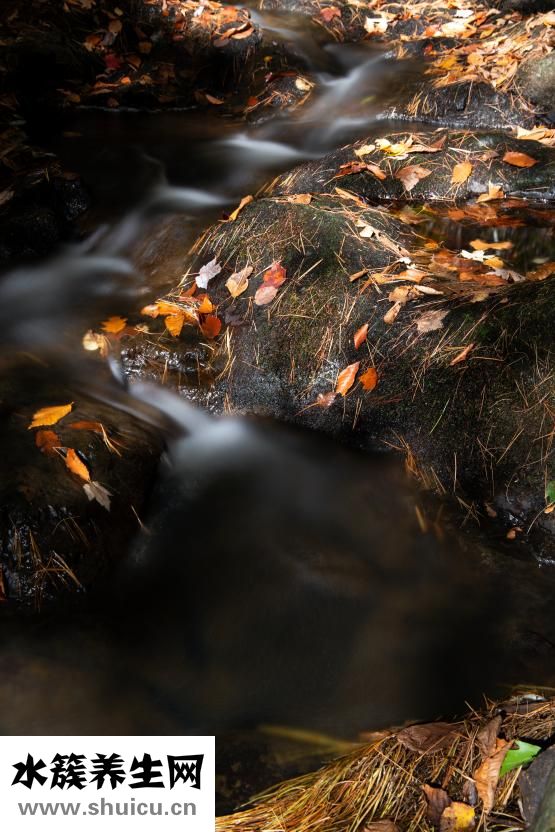 好孩子推車怎么折疊