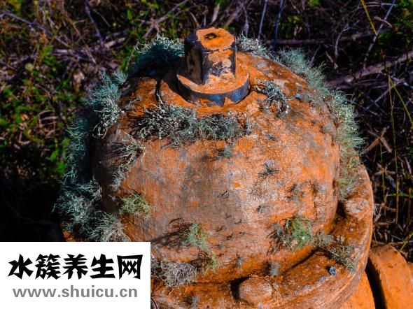 手心發熱是怎么回事