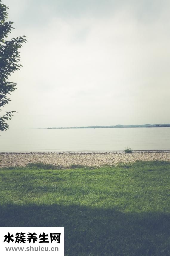 孕婦便秘怎么辦