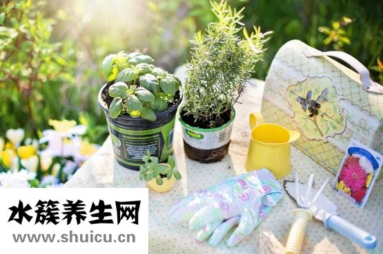 吃什么東西補(bǔ)腎