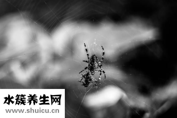 如何忘記一個人