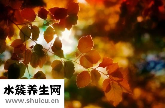 產后如何瘦肚子