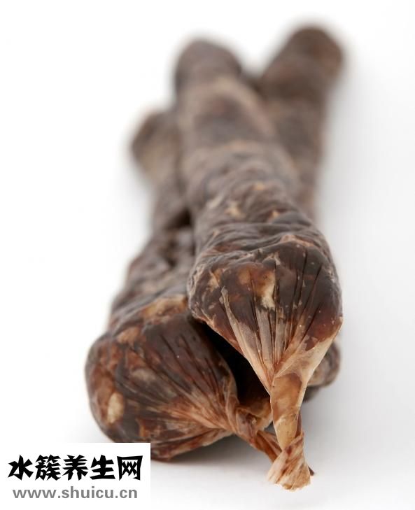 倉(cāng)鼠怎么養(yǎng)