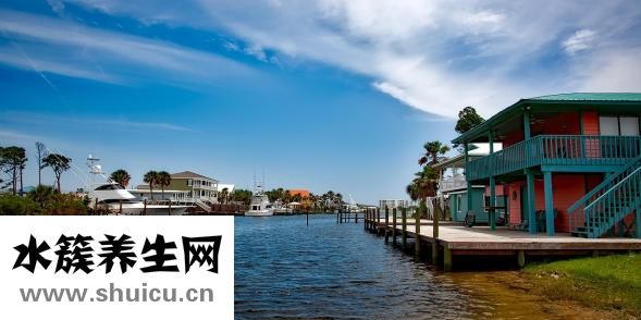 撲街是什么意思