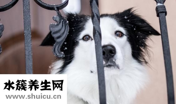 人流后多久可以懷孕