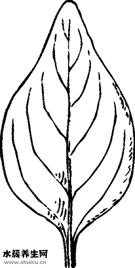 且行且珍惜什么意思