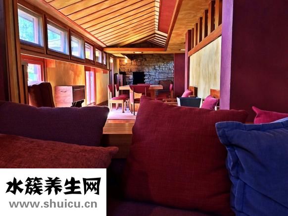 可樂(lè)雞翅怎么做