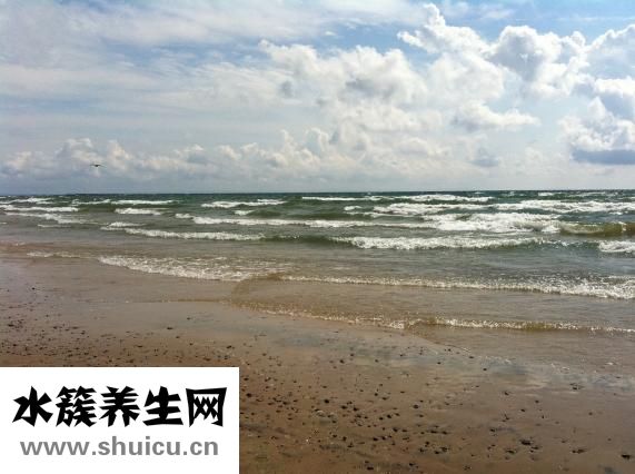 掉頭發是缺什么