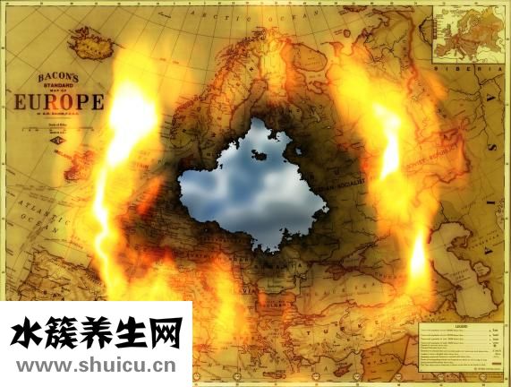 文竹葉子發(fā)黃怎么辦