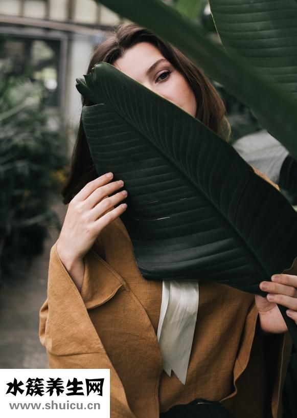 做人流后多久來月經(jīng)