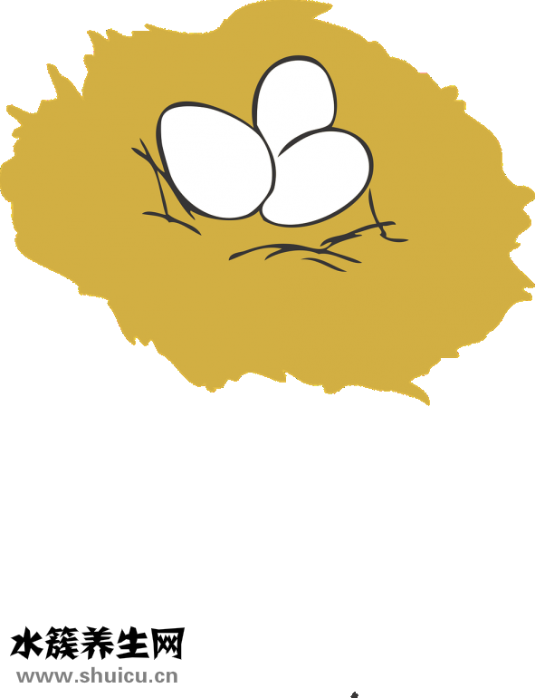 彩蛋是什么意思