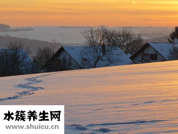 為什么會長白頭發(fā)