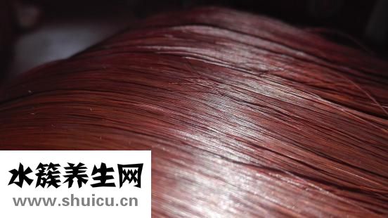 掉頭發吃什么好