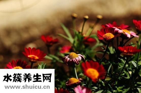 嘴唇干是怎么回事