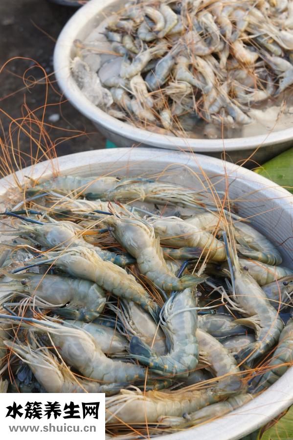 吃海鮮不能吃什么