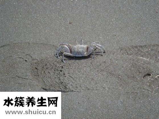 意義是什么意思