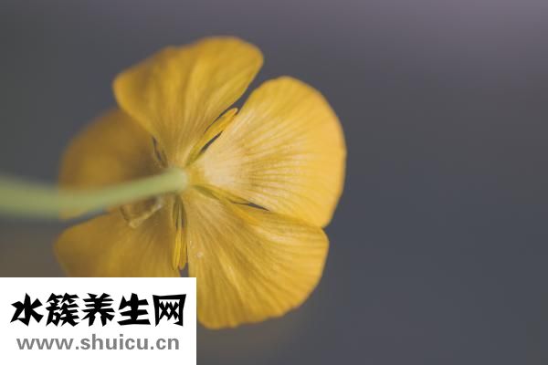 教學(xué)方法有哪些