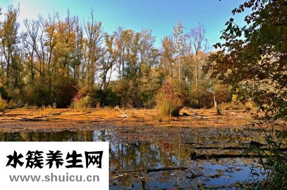 孩子不愛(ài)吃飯?jiān)趺崔k